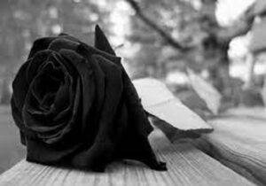 NORMA AIDA BRIATORE DE MARZANO Q.E.P.D.