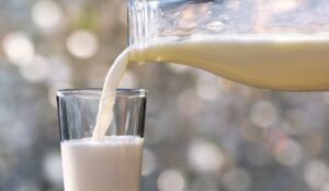 CURIOSIDADES DEL 1 DE JUNIO: DIA MUNDIAL DE LA LECHE