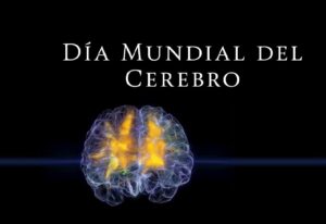 CURIOSIDADES DEL 22 DE JULIO: DIA MUNDIAL DEL CEREBRO