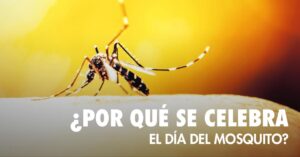 CURIOSIDADES DEL 20 DE AGOSTO: DIA MUNDIAL DEL MOSQUITO