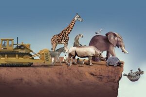 CURIOSIDADES DEL 18 DE ABRIL: ¿QUE ESPECIE DOMINARIA EL MUNDO SI SE EXTINGUEN LOS HUMANOS?