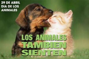 CURIOSIDADES DEL 29 DE ABRIL: DIA DEL ANIMAL