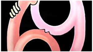 CURIOSIDADES DEL 6 DE SEPTIEMBRE: DIA MUNDIAL DEL SEXO ORAL