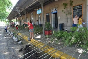 ESPACIOS VERDES Y SU INTENCIÓN DEL BANCO DE SEMILLAS DE PLANTAS NATIVAS