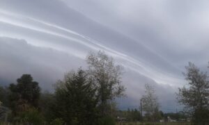 TRAS UN CALOR ASFIXIANTE: ALERTAS POR TORMENTAS FUERTES PARA MAÑANA