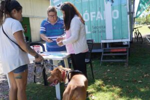 VERANO: CASTRACIONES Y CUIDADO ANIMAL