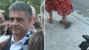 INSÓLITO: APARECIÓ UNA RATA EN PLENA CONFERENCIA DE PRENSA