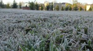 ALERTA AMARILLO: EN MERCEDES TAMBIÉN SE SIENTE LA CRUDA OLA POLAR