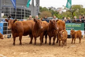 MUCHOS PREMIOS PARA CABAÑA MERCEDINA LA ÑATA EN LA EXPO ANGUS DE PALERMO