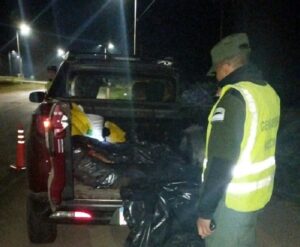 CONTROLES: 6 DETENIDOS POR ROBO DE ANIMALES