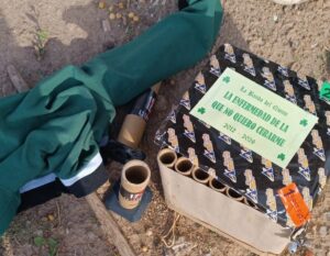 21 DE SEPTIEMBRE POLÉMICO: MUCHA PIROTECNIA Y AGRESIÓN A AGENTES DE SEGURIDAD