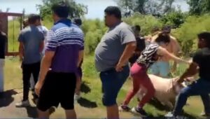 YA ES COSTUMBRE: VOLCÓ ACOPLADO CON ANIMALES Y LOS VECINOS SE LLEVAN LO QUE PUEDEN
