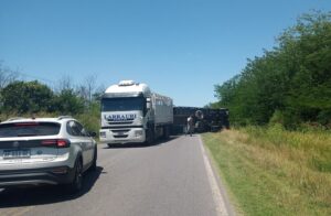 HACE INSTANTES: VUELCO DE ACOPLADO CON ANIMALES EN RUTA 41