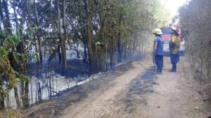 DESDE EL INICIO DE 2025 BOMBEROS DE MERCEDES TUVO 54 SERVICIOS