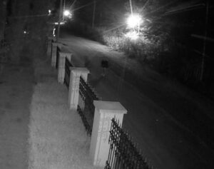POLICIA DETUVO A LADRONES Y LA JUSTICIA LOS DEJÓ LIBRES: MALESTAR OFICIAL