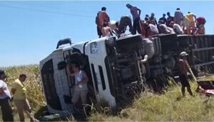 OTRA VEZ: VOLCÓ CAMIÓN EN RUTA 8 Y VECINOS FAENAN 70 VACAS EN EL LUGAR