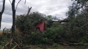 LO QUE DEJÓ LA TORMENTA DEL VIERNES EN LA ZONA: ¿CAYÓ GRANIZO?