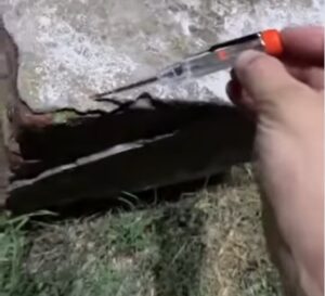 VECINO ENCUENTRA LUMINARIA ELECTRIFICADA EN PLENA VÍA PÚBLICA