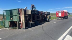 RUTAS 8 Y 41: VOLCÓ CAMIÓN CON ANIMALES Y POLICÍA DETUVO A CUATRO SUJETOS