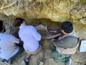 EQUIPO MERCEDINO TRABAJA EN EXCAVACIÓN DE GLIPTODONTE EN RIO LUJÁN