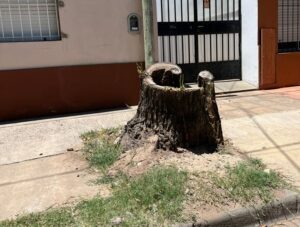 LA CIUDAD: ¿PÚBLICA O PRIVADA?