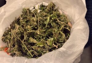 LO DETUVIERON CON DOS FRASCOS DE MARIHUANA