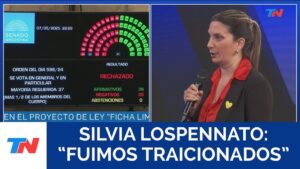 FICHA LIMPIA: ACUSACIONES ENTRE EL GOBIERNO Y EL PRO