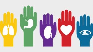 CURIOSIDADES DEL 30 DE MAYO: DIA DE LA DONACION DE ORGANOS Y TEJIDOS