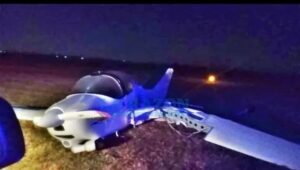 INSÓLITO SINIESTRO EN CHIVILCOY: AVIÓN CHOCÓ CONTRA UN TORO