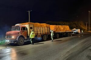 INTERCEPTAN EN CAÑUELAS UN CAMIÓN CON CARGA DE OPIOIDE REMIFENTANILO