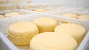 DETECTAN BROTE DE LISTERIOSIS VINCULADO AL CONSUMO DE UN QUESO CRIOLLO