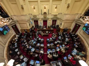 EL SENADO RECHAZÓ EL VETO A LA EMERGENCIA EN DISCAPACIDAD