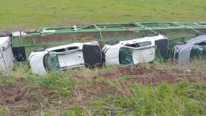 AU 8: FAMILIA IBA A PESCAR Y SU AUTO FUE EMBESTIDO POR CAMIÓN MOSQUITO