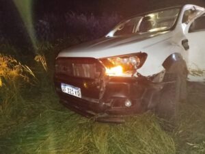 RUTA 5: CAMIONETA EMBISTIÓ A UN VACUNO SUELTO