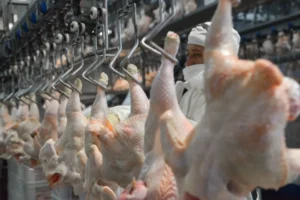 SOBREOFERTA DESPLOMÓ EL PRECIO DEL POLLO: 2 MIL EL KG EN LOS SUPERMERCADOS