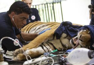 MISIÓN DE EMERGENCIA PARA SALVAR A 60 ANIMALES DEL ZOO LUJÁN