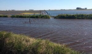 PRODUCTORES DE BRAGADO: «CON EL AGUA AL CUELLO POR INACCIÓN MUNICIPAL»