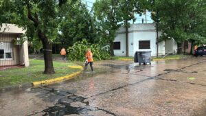 TORMENTA CON GRANIZO Y VIENTO DEJA A 4 MIL USUARIOS SIN LUZ