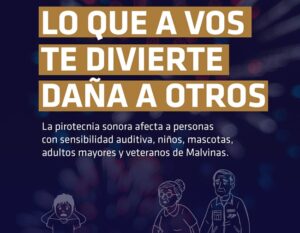PIDEN TOMA DE CONCIENCIA Y DE RESPETO DEL NO USO DE PIROTECNIA SONORA