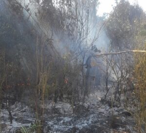 SE DESATÓ UN INCENDIO FORESTAL DE MAGNITUD EN ALTAMIRA