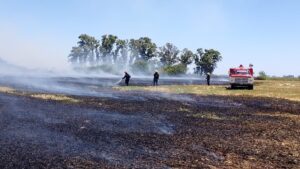 LLEGAN DIAS DE RIESGO EXTREMO POR INCENDIOS LUEGO DE 9 SALIDAS DE BOMBEROS EN 48 HS