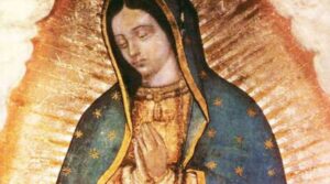 MISTERIO Y FE EN CHIVILCOY POR PRESUNTA IMAGEN DE LA VIRGEN EN UN ÁRBOL