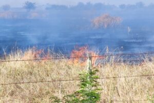 DESCONTROLADO INCENDIO EN LA VERDE: DOTACIONES DE LA REGIÓN SE SUMAN A LAS MERCEDINAS