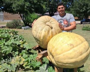 «SUPERZAPALLO» DE MECHITA: CULTIVÓ UNA CALABAZA DE 73 KG Y ES FUROR