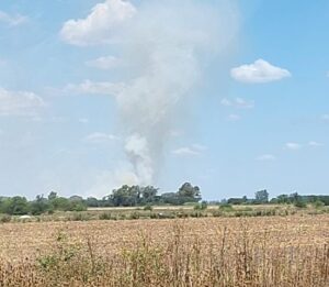 INCENDIO FORESTAL DE MAGNITUD ENTRE TOMÁS JOFRÉ Y LA VERDE