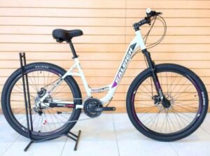 BUSCAN BICICLETA ROBADA EN 14 Y 113: ÚNICA MOVILIDAD DE UNA TRABAJADORA