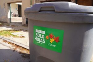 PRUEBA PILOTO: MÁS DE CIEN CONTENEDORES EXCLUSIVOS PARA RECOLECCIÓN DE HOJAS