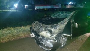 SINIESTRO VIAL EN RUTA 5: FUERTE CHOQUE DE UN AUTO CON UN CABALLO