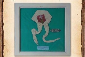 GRUPO SCOUT SAN VICENTE CAMINA HACIA SUS 50 AÑOS Y CONVOCA A EX INTEGRANTES
