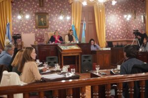 SALUD, TRANSPORTE Y CONSENSOS: EJES DE LA INTENSA SESIÓN EN EL HCD
